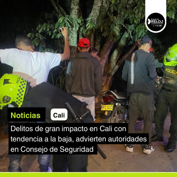 Los delitos de alto impacto en la ciudad mantienen tendencia a la baja, en once meses del ‘Plan Cali Segura’.En el marco del Consejo de seguridad las autoridades aseguraron que entre enero y noviembre de 2024, el homicidio en Cali presentó una reducción del 7%, comparado con el mismo periodo del año anterior. Se salvaron 61 vidas.

Asimismo, el hurto, en la mayoría de sus modalidades, también registró una disminución durante este tiempo, comparado con el mismo lapso del año anterior. El hurto a comercio, por ejemplo, tuvo una baja de 18% y los robos en el MIO bajaron 41%.

Además, para la época decembrina y la Feria de Cali las autoridades acordaron intensificar los esfuerzos en seguridad, con la llegada de 391 hombres y mujeres de la Policía.

radiorelojcali